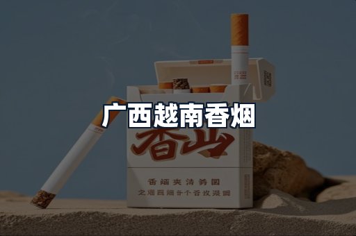 广西越南香烟